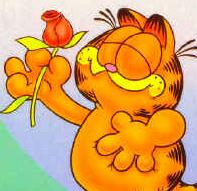 Garfield graphics