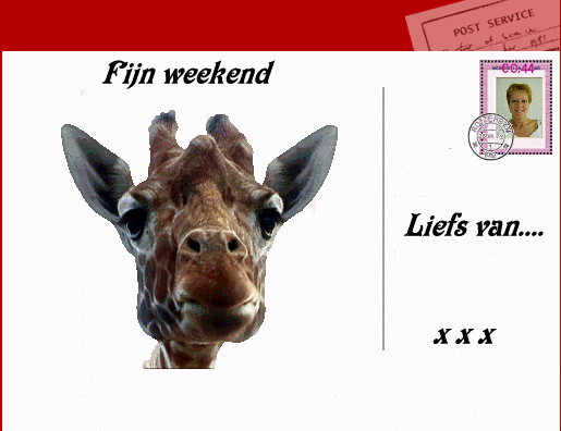 Giraffe graphics