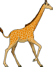 Giraffe graphics