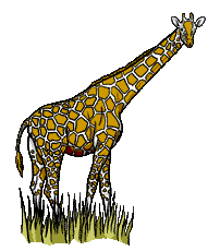 Giraffe graphics