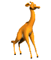 Giraffe graphics