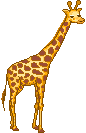 Giraffe graphics