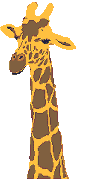 Giraffe graphics