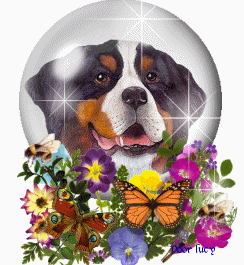 Globes graphics