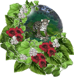 Globes graphics