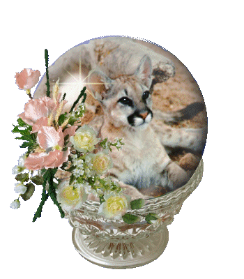 Globes graphics