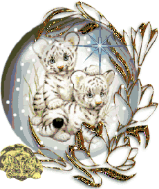 Globes graphics