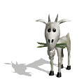 Goats graphics