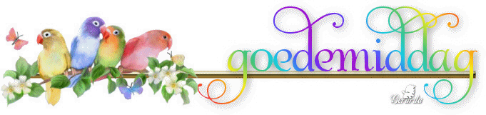 Good afternoon graphics