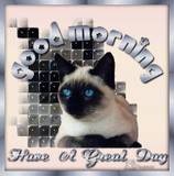 Good morning graphics