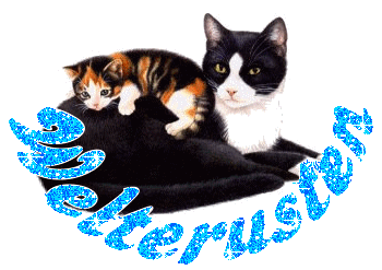 Good night graphics