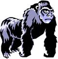 Gorilla graphics