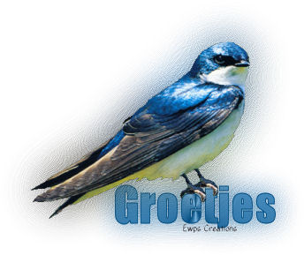 Greetings graphics