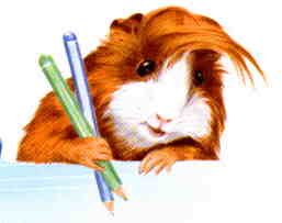 Guinea pig graphics