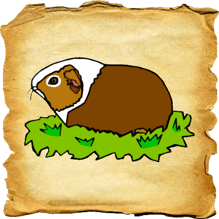 Guinea pig graphics