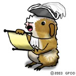 Guinea pig