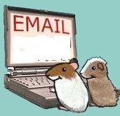 Guinea pig graphics