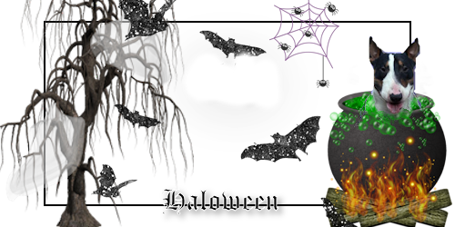 Halloween graphics