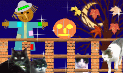 Halloween graphics