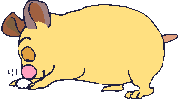 Hamsters graphics