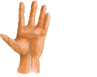 Hands graphics