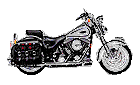 Harley graphics