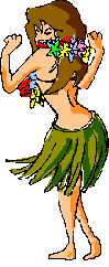 Hawaii graphics