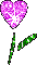 Hearts graphics