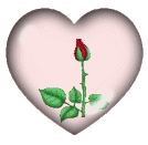 Hearts graphics