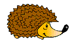 Hedgehogs graphics