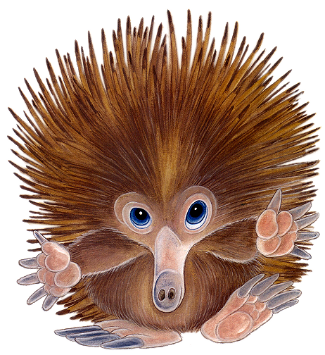 Hedgehogs graphics