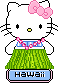 Hello kitty graphics