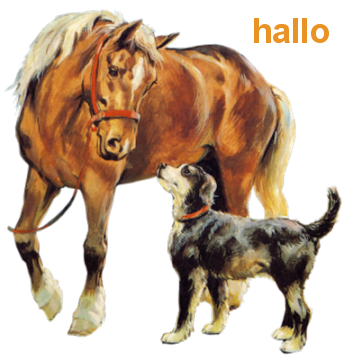 Hello graphics