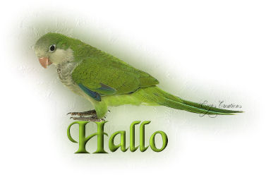 Hello graphics