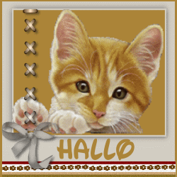 Hello graphics