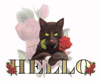Hello graphics