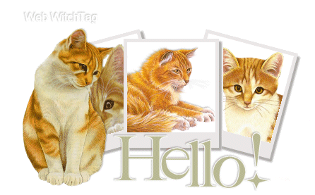 Hello graphics