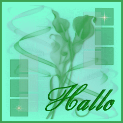 Hello graphics