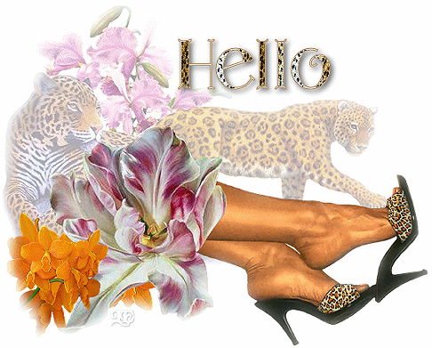Hello graphics