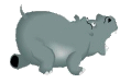 Hippo