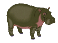 Hippo graphics