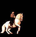 Horses graphics