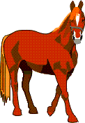 Horses graphics