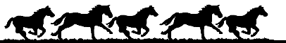 Horses graphics