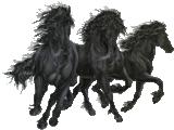 Horses