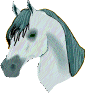 Horses graphics