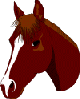 Horses graphics