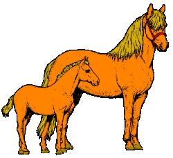 Horses graphics