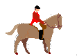Horses graphics