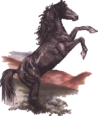 Horses graphics